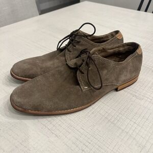 Steve Madden Elvin Suede Shoes Oxfords Beige Light Brown US 11 Cognac Men EUC